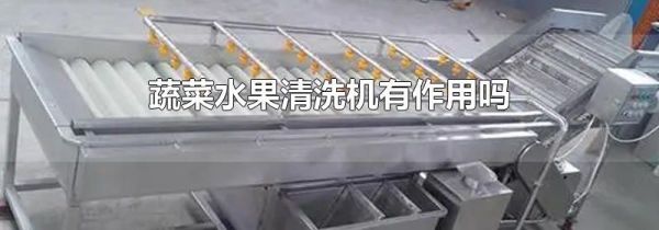 蔬菜水果清洗机有作用吗