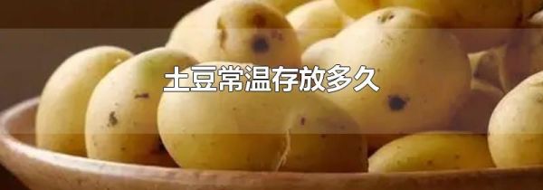 土豆常温存放多久