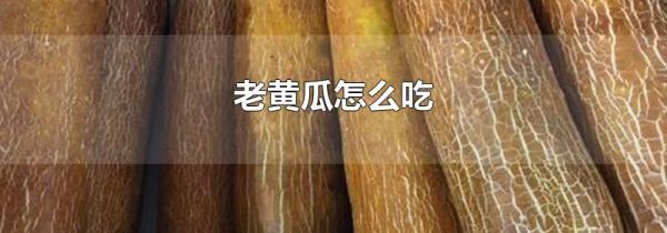 老黄瓜怎么吃