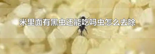 米里面有黑虫还能吃吗虫怎么去除