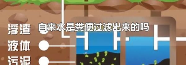 自来水是粪便过滤出来的吗