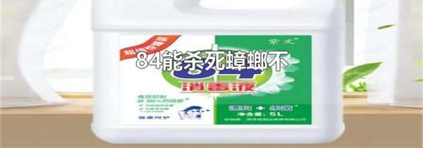 84能杀死蟑螂不
