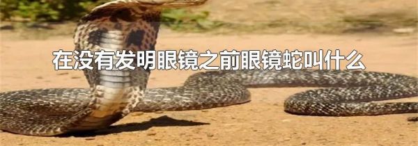 在没有发明眼镜之前眼镜蛇叫什么