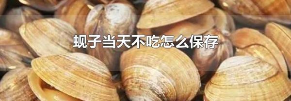 蚬子当天不吃怎么保存