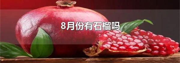 8月份有石榴吗