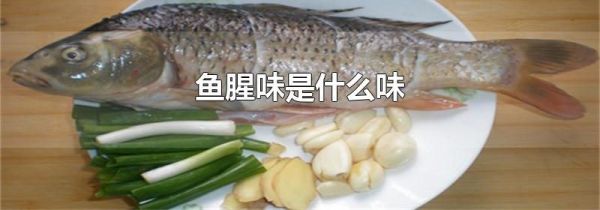 鱼腥味是什么味