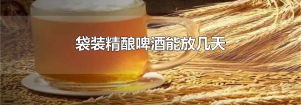 袋装精酿啤酒能放几天