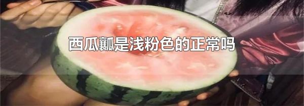 西瓜瓤是浅粉色的正常吗