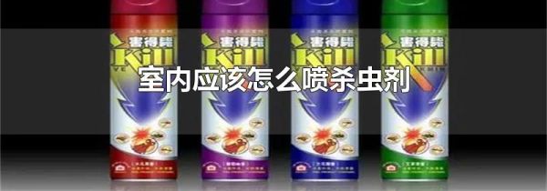 室内应该怎么喷杀虫剂
