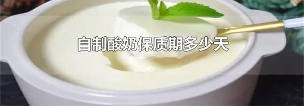 自制酸奶保质期多少天