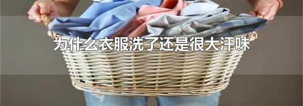 为什么衣服洗了还是很大汗味
