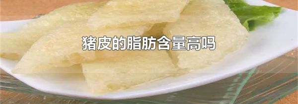 猪皮的脂肪含量高吗