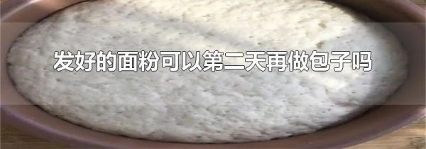 发好的面粉可以第二天再做包子吗