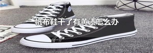 帆布鞋干了有黄渍怎么办