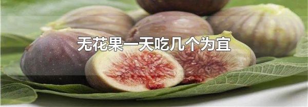 无花果一天吃几个为宜
