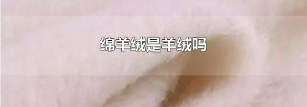 绵羊绒是羊绒吗