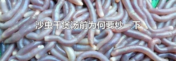 沙虫干煲汤前为何要炒一下