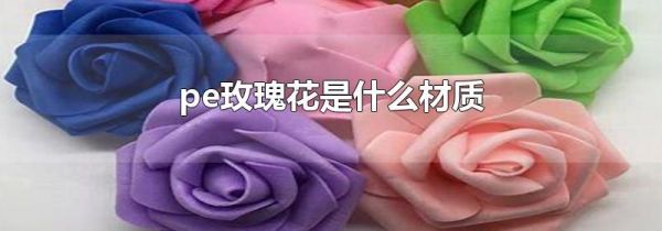 pe玫瑰花是什么材质