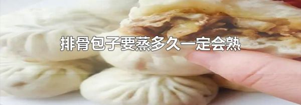 排骨包子要蒸多久一定会熟