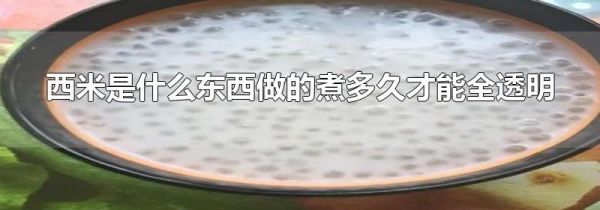 西米是什么东西做的煮多久才能全透明