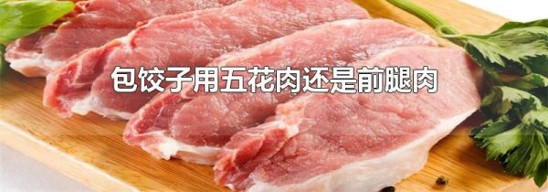 包饺子用五花肉还是前腿肉