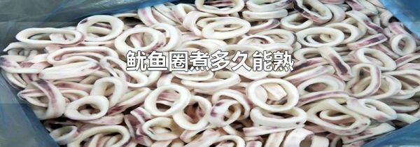 鱿鱼圈煮多久能熟