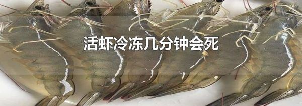 活虾冷冻几分钟会死