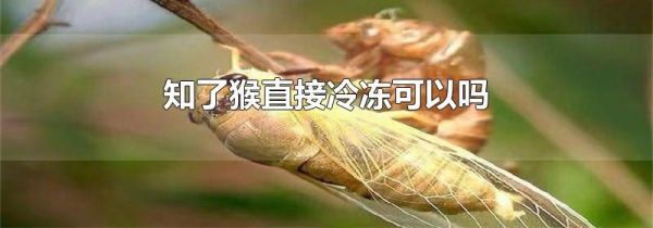 知了猴直接冷冻可以吗