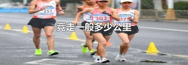 竞走一般多少公里