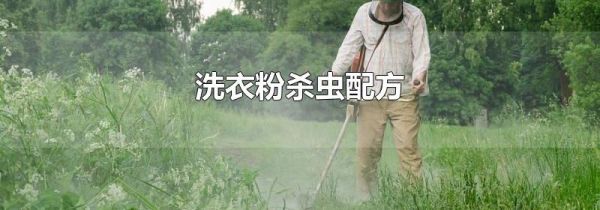 洗衣粉杀虫配方