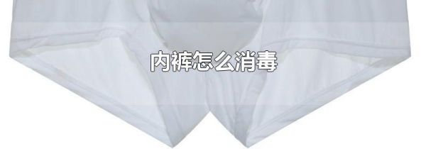 内裤怎么消毒