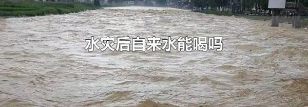 水灾后自来水能喝吗