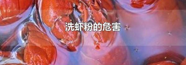 洗虾粉的危害