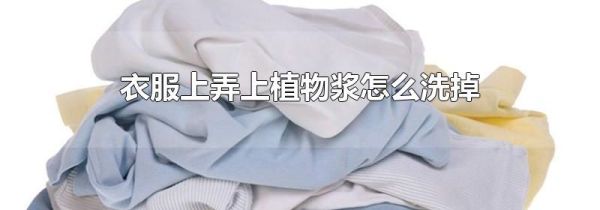 衣服上弄上植物浆怎么洗掉