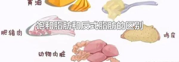 饱和脂肪和反式脂肪的区别