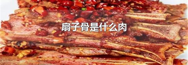 扇子骨是什么肉