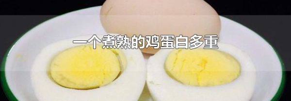 一个煮熟的鸡蛋白多重