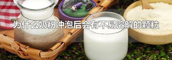 为什么奶粉冲泡后会有不易溶解的颗粒