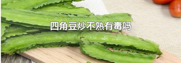 四角豆炒不熟有毒吗