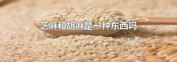 芝麻和胡麻是一种东西吗