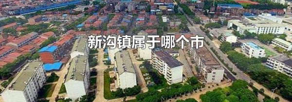 新沟镇属于哪个市