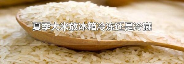 夏季大米放冰箱冷冻还是冷藏