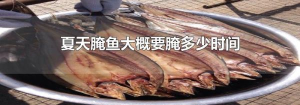 夏天腌鱼大概要腌多少时间