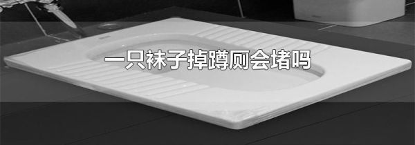 一只袜子掉蹲厕会堵吗