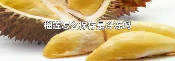 榴莲怎么保存是冷冻吗
