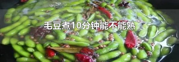毛豆煮10分钟能不能熟