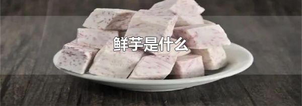 鲜芋是什么