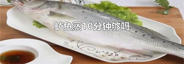 鲈鱼蒸10分钟够吗
