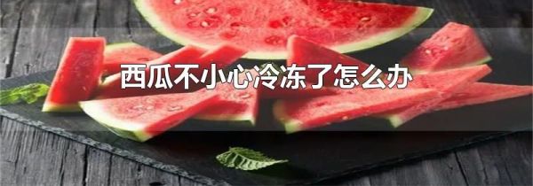 西瓜不小心冷冻了怎么办