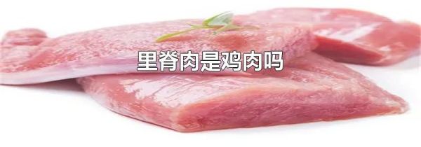 里脊肉是鸡肉吗